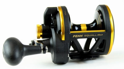 Penn squall 40Ld – Billy's Fishing Tackle